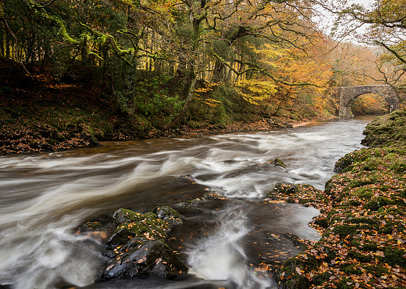 Autumn on the Dart looking towards Holne Bridge.