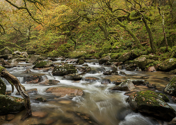Autumn on the River Plym at Shaugh bridge.