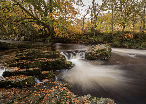 Autumn on the River Dart